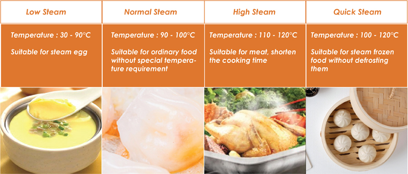 4 Steaming Mode
