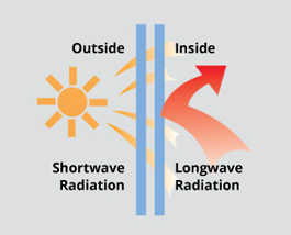 Low-E Glass Door