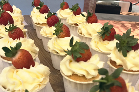 Vanilla Cupcakes